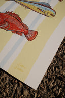 Fresh Catch Print